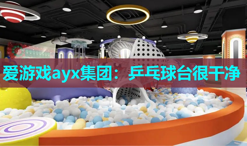 爱游戏ayx集团：乒乓球台很干净