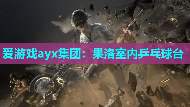 爱游戏ayx集团：果洛室内乒乓球台