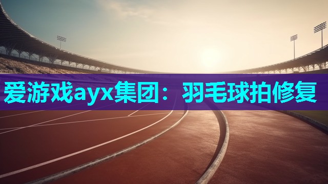 爱游戏ayx集团：羽毛球拍修复