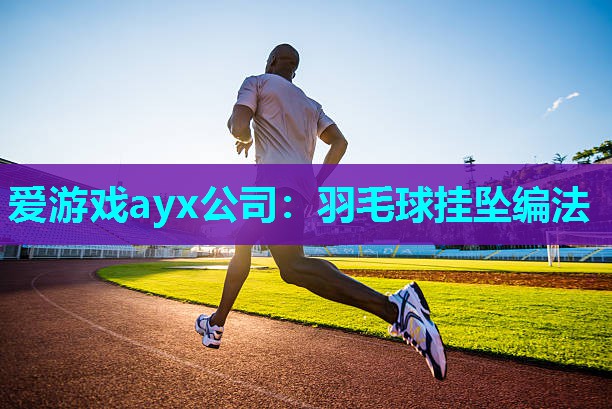 爱游戏ayx公司：羽毛球挂坠编法